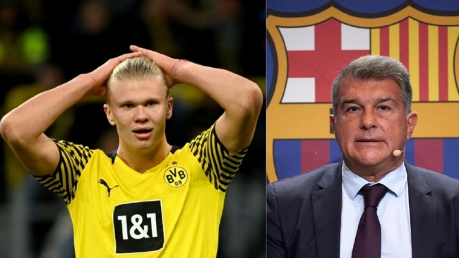 本土球员崛起趋势明显（本土球员崛起势头强劲）